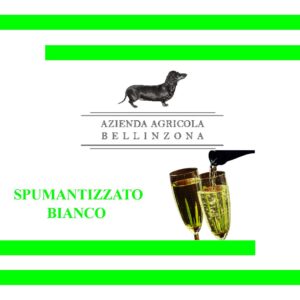 Vino Spumantizzato Bianco