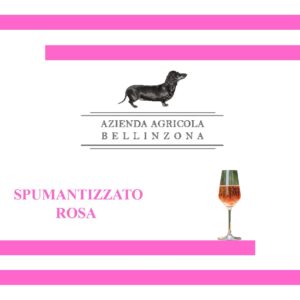 Vino Spumantizzato Rosa